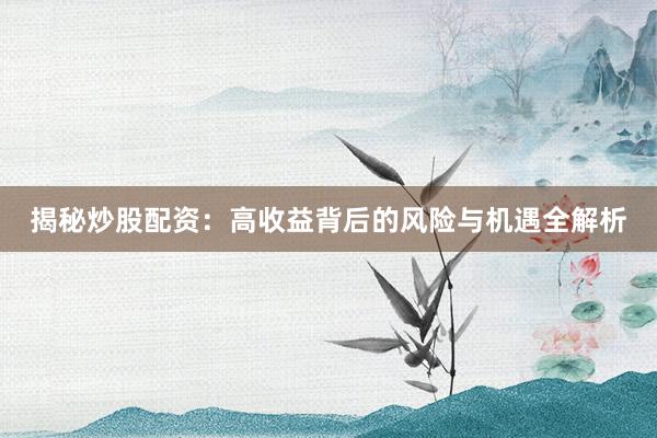 揭秘炒股配资：高收益背后的风险与机遇全解析