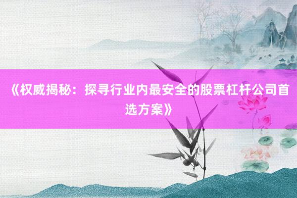 《权威揭秘：探寻行业内最安全的股票杠杆公司首选方案》