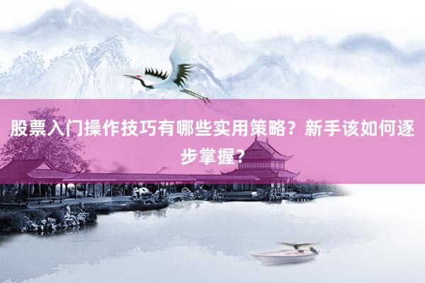 股票入门操作技巧有哪些实用策略？新手该如何逐步掌握？