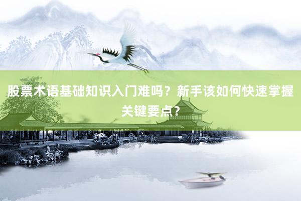 股票术语基础知识入门难吗？新手该如何快速掌握关键要点？