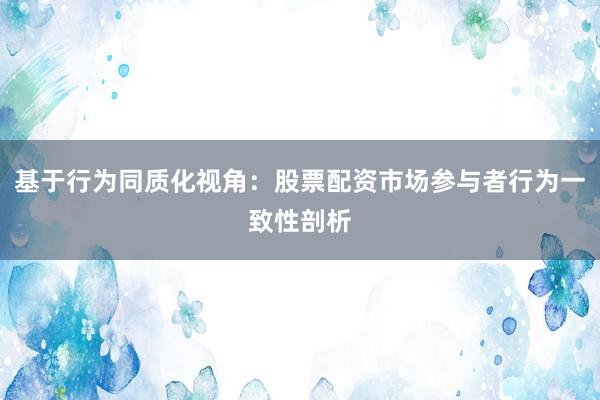 基于行为同质化视角：股票配资市场参与者行为一致性剖析