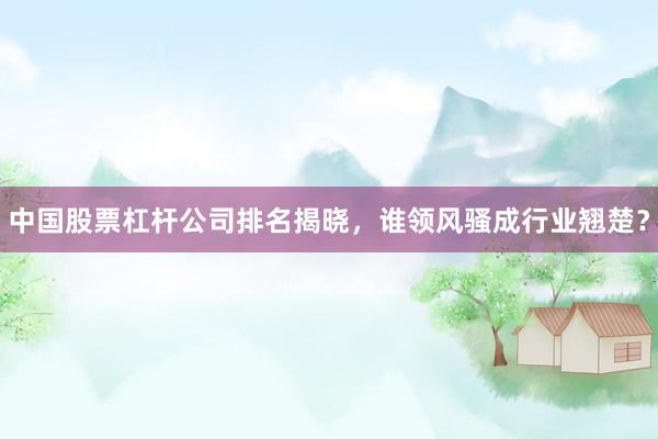 中国股票杠杆公司排名揭晓，谁领风骚成行业翘楚？