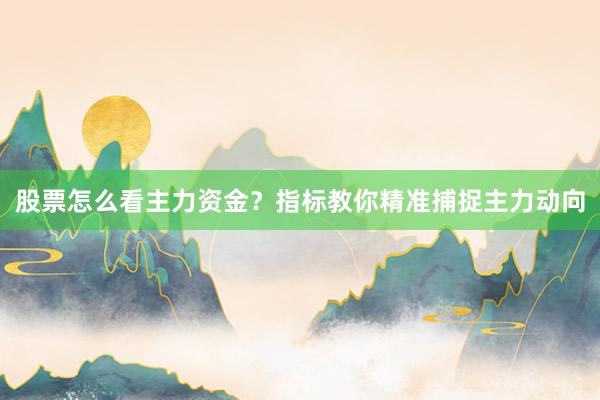 股票怎么看主力资金？指标教你精准捕捉主力动向
