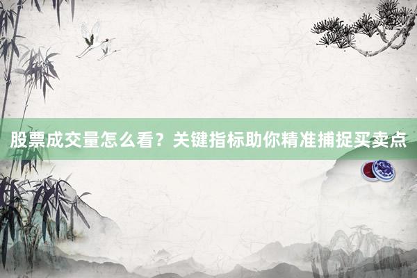 股票成交量怎么看？关键指标助你精准捕捉买卖点