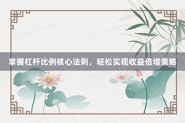 掌握杠杆比例核心法则，轻松实现收益倍增策略