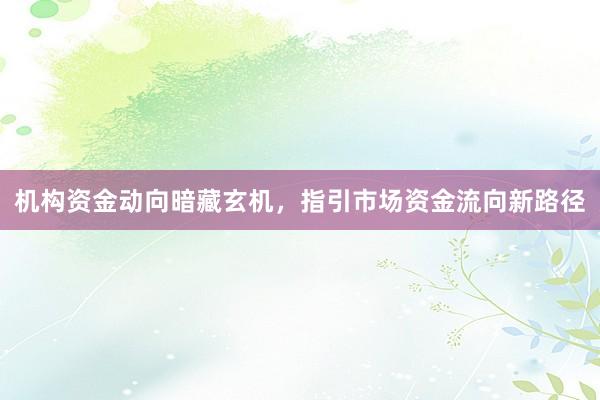 机构资金动向暗藏玄机，指引市场资金流向新路径