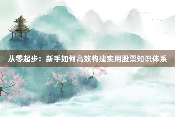 从零起步：新手如何高效构建实用股票知识体系