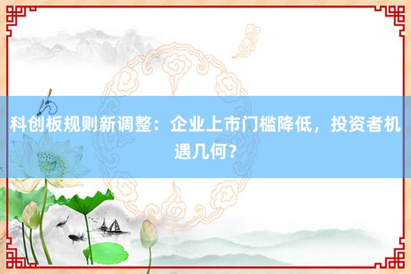 科创板规则新调整：企业上市门槛降低，投资者机遇几何？