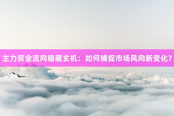 主力资金流向暗藏玄机：如何捕捉市场风向新变化？