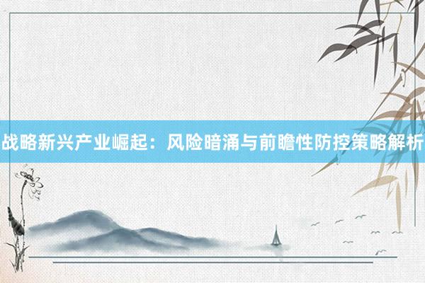 战略新兴产业崛起：风险暗涌与前瞻性防控策略解析
