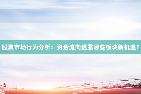 股票市场行为分析：资金流向透露哪些板块新机遇？