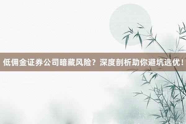 低佣金证券公司暗藏风险？深度剖析助你避坑选优！