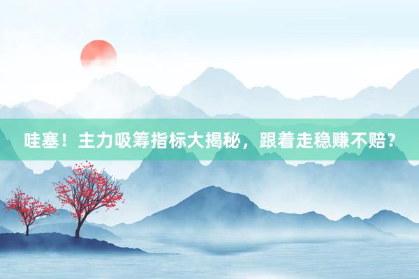 哇塞！主力吸筹指标大揭秘，跟着走稳赚不赔？