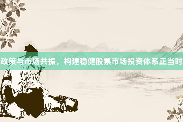 政策与市场共振，构建稳健股票市场投资体系正当时