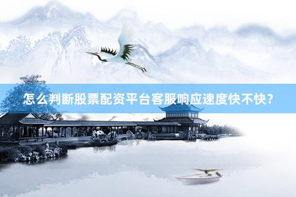 怎么判断股票配资平台客服响应速度快不快？