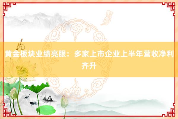 黄金板块业绩亮眼：多家上市企业上半年营收净利齐升