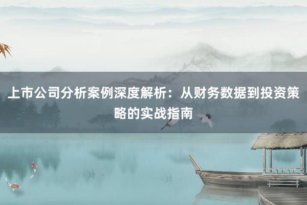 上市公司分析案例深度解析：从财务数据到投资策略的实战指南