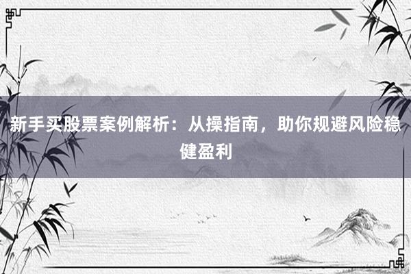 新手买股票案例解析：从操指南，助你规避风险稳健盈利
