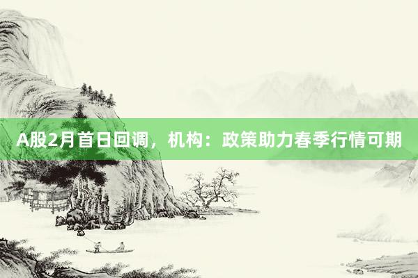 A股2月首日回调，机构：政策助力春季行情可期