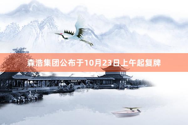 森浩集团公布于10月23日上午起复牌